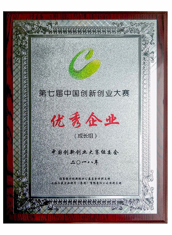 創(chuàng)新大賽全國總決賽優(yōu)秀企業(yè)獎